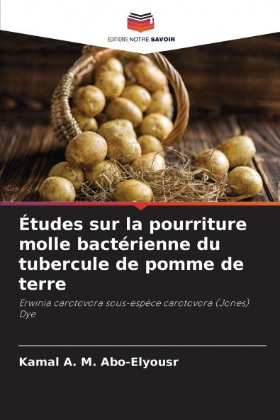 Études sur la pourriture molle bactérienne du tubercule de pomme de terre