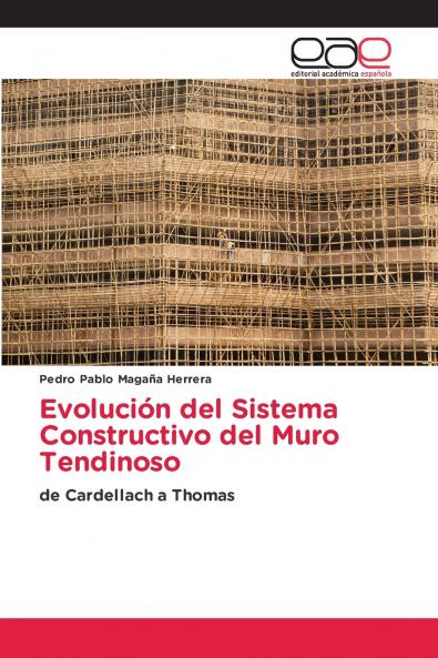 Evolución del Sistema Constructivo del Muro Tendinoso