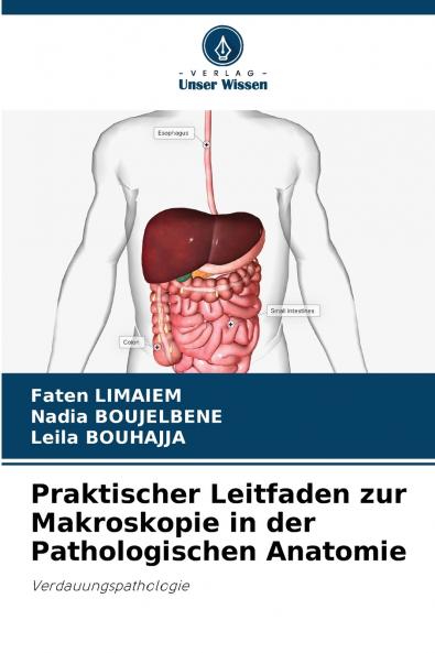 Praktischer Leitfaden zur Makroskopie in der Pathologischen Anatomie
