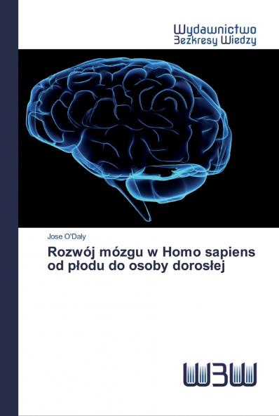 Rozwój mózgu w Homo sapiens od p?odu do osoby doros?ej
