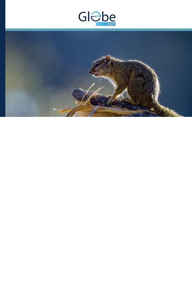 Red Teaming Speltheorie Panpsychisme en Quantal Perceptie