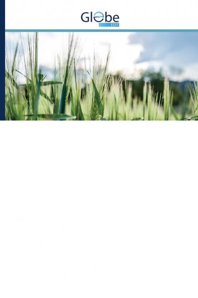 ?????? ???????????? ? ????????????