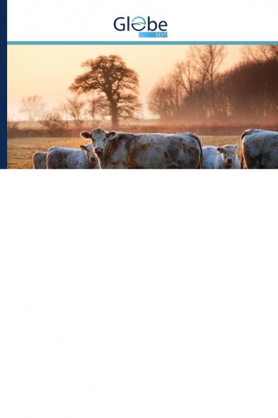 ????????? - ???????? ?????????? ??????????????? ????? ????????? ??????? ??????? ??????