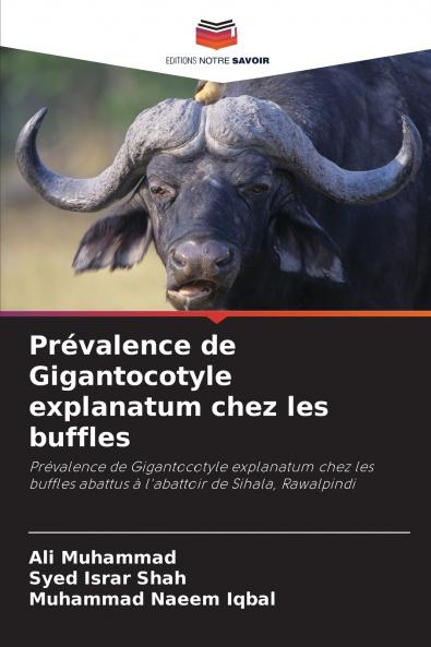 Prévalence de Gigantocotyle explanatum chez les buffles