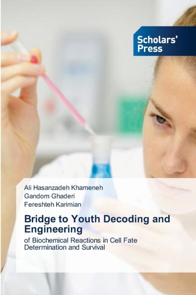 Bridge to Youth Decoding and Engineering