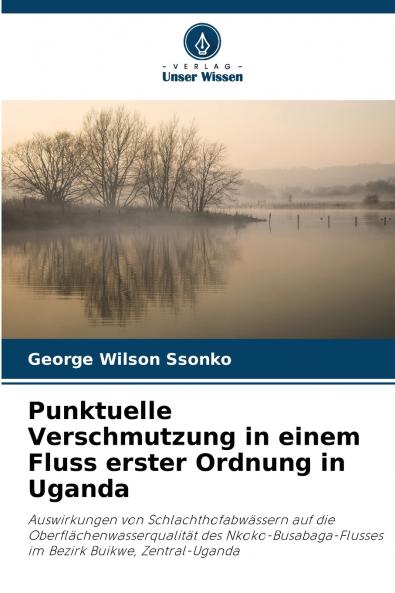 Punktuelle Verschmutzung in einem Fluss erster Ordnung in Uganda