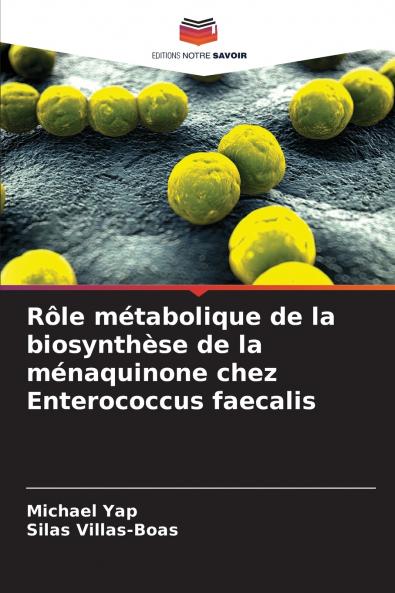 Rôle métabolique de la biosynthèse de la ménaquinone chez Enterococcus faecalis