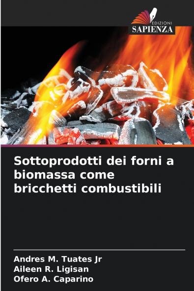 Sottoprodotti dei forni a biomassa come bricchetti combustibili