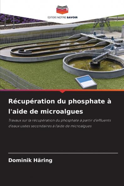 Récupération du phosphate à l'aide de microalgues