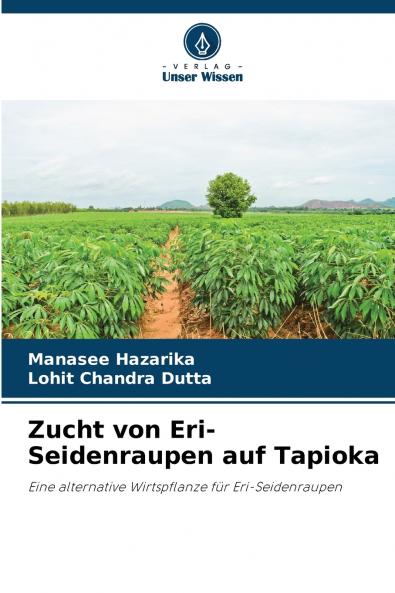 Zucht von Eri-Seidenraupen auf Tapioka