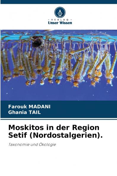 Moskitos in der Region Setif (Nordostalgerien).