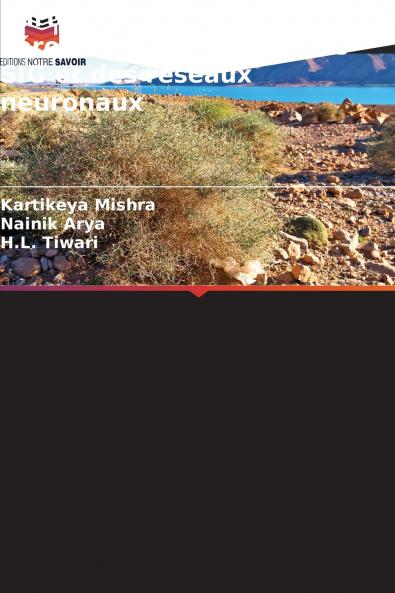 Cartographie avancée de l'érosion par la fusion des SIG et des réseaux neuronaux