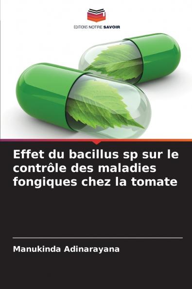 Effet du bacillus sp sur le contrôle des maladies fongiques chez la tomate