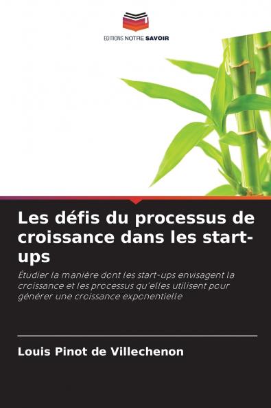 Les défis du processus de croissance dans les start-ups