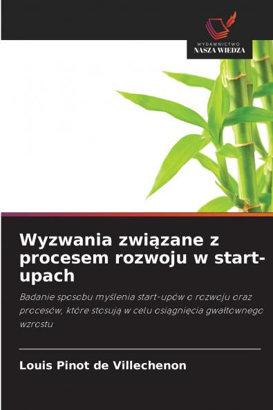 Wyzwania związane z procesem rozwoju w start-upach