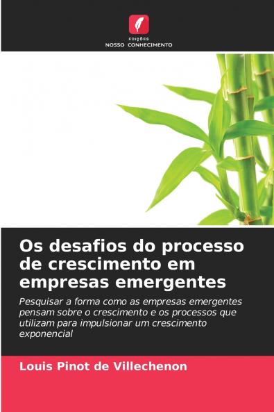 Os desafios do processo de crescimento em empresas emergentes