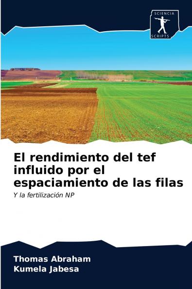 El rendimiento del tef influido por el espaciamiento de las filas