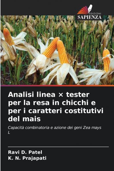 Analisi linea × tester per la resa in chicchi e per i caratteri costitutivi del mais