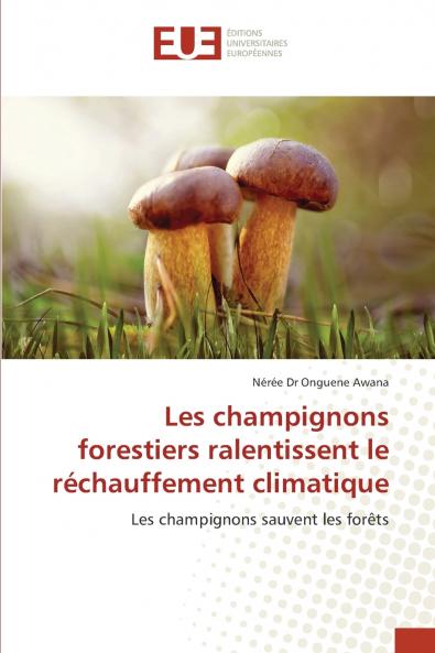 Les champignons forestiers ralentissent le réchauffement climatique