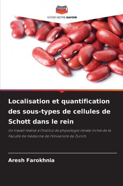 Localisation et quantification des sous-types de cellules de Schott dans le rein