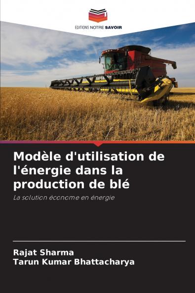 Modèle d'utilisation de l'énergie dans la production de blé