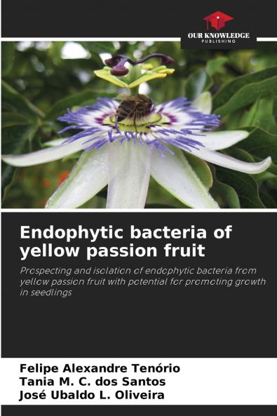 Endophytic bacteria of yellow passion fruit