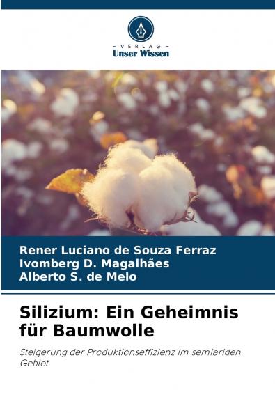 Silizium