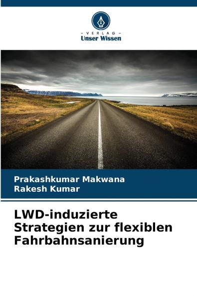 LWD-induzierte Strategien zur flexiblen Fahrbahnsanierung