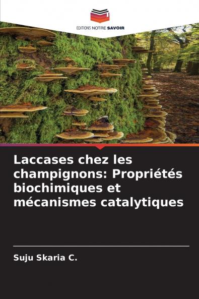 Laccases chez les champignons