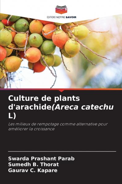 Culture de plants d'arachide(Areca catechu L)