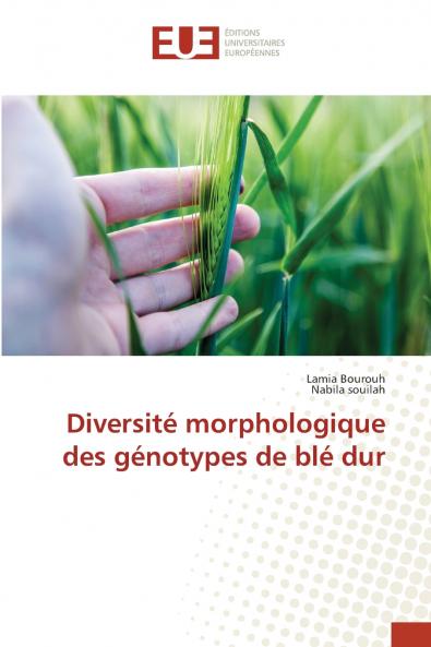 Diversité morphologique des génotypes de blé dur