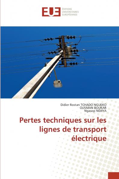 Pertes techniques sur les lignes de transport électrique