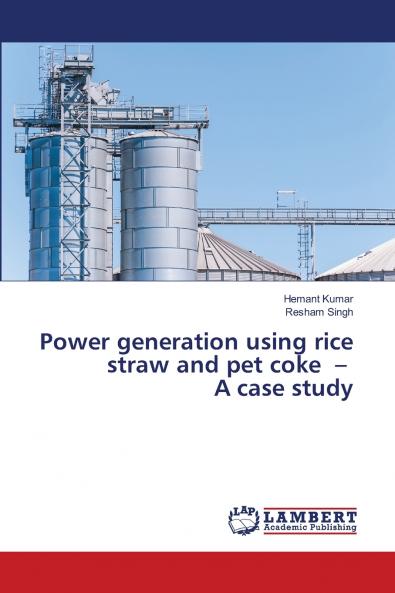 Power generation using rice straw and pet coke - A case study