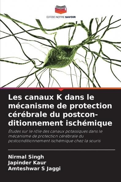 Les canaux K dans le mécanisme de protection cérébrale du postcon-ditionnement ischémique