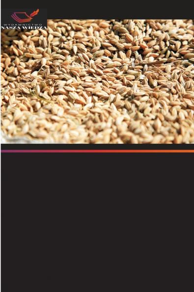 Badanie warunków bezpieczeństwa i higieny pracy w młynie ryżowym