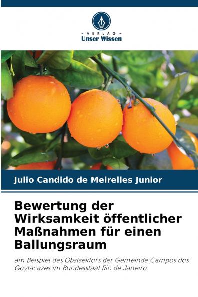 Bewertung der Wirksamkeit öffentlicher Maßnahmen für einen Ballungsraum