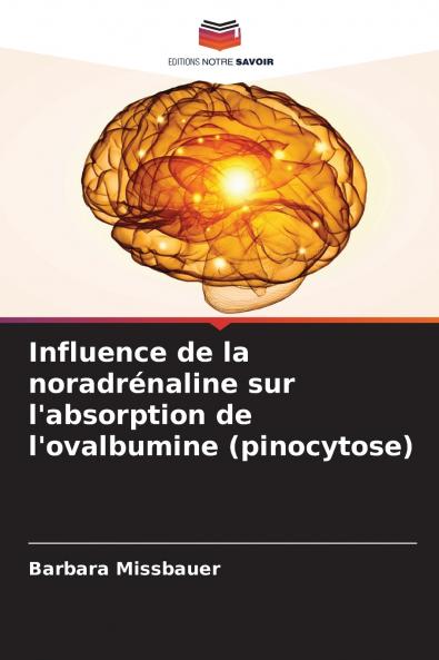 Influence de la noradrénaline sur l'absorption de l'ovalbumine (pinocytose)