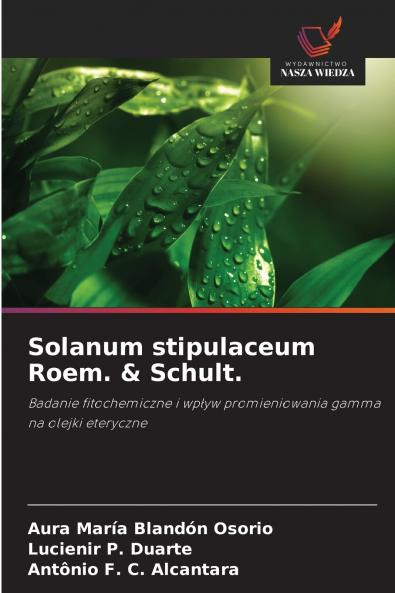 Solanum stipulaceum Roem. & Schult.
