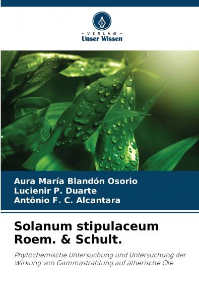 Solanum stipulaceum Roem. & Schult.