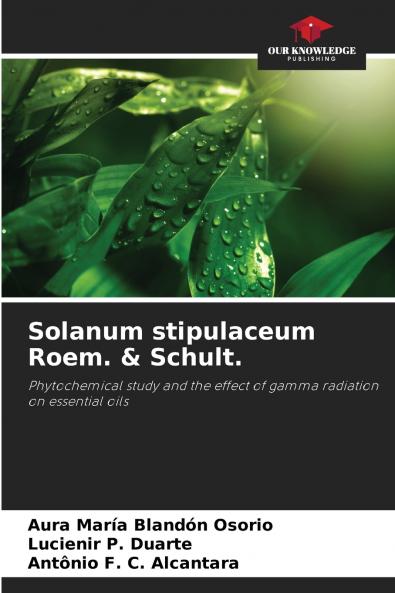 Solanum stipulaceum Roem. & Schult.