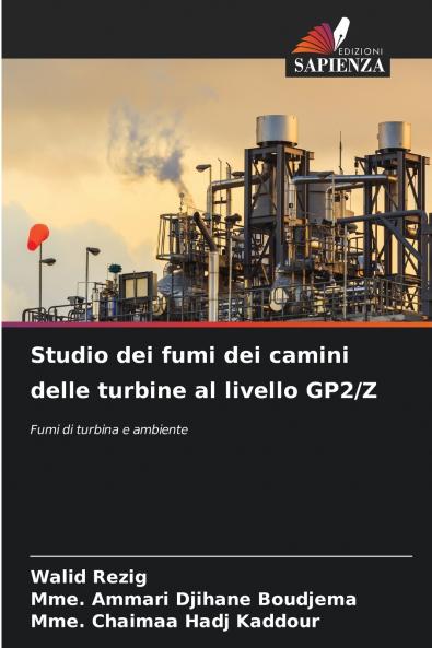 Studio dei fumi dei camini delle turbine al livello GP2/Z