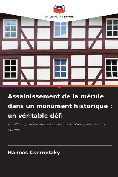Assainissement de la mérule dans un monument historique