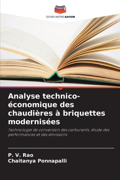 Analyse technico-économique des chaudières à briquettes modernisées