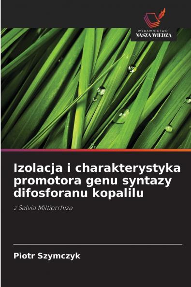Izolacja i charakterystyka promotora genu syntazy difosforanu kopalilu