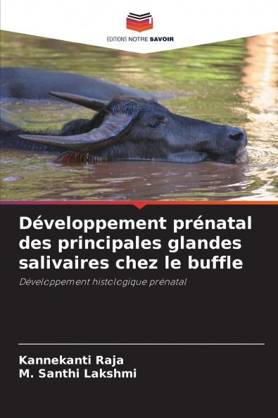 Développement prénatal des principales glandes salivaires chez le buffle