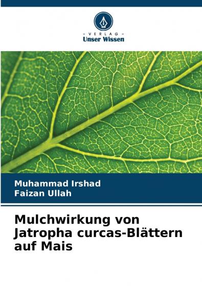 Mulchwirkung von Jatropha curcas-Blättern auf Mais