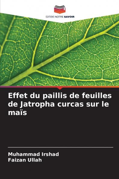 Effet du paillis de feuilles de Jatropha curcas sur le maïs