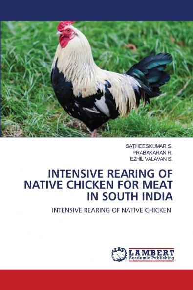 INTENSIVE REARING OF NATIVE CHICKEN FOR MEAT IN SOUTH INDIA
