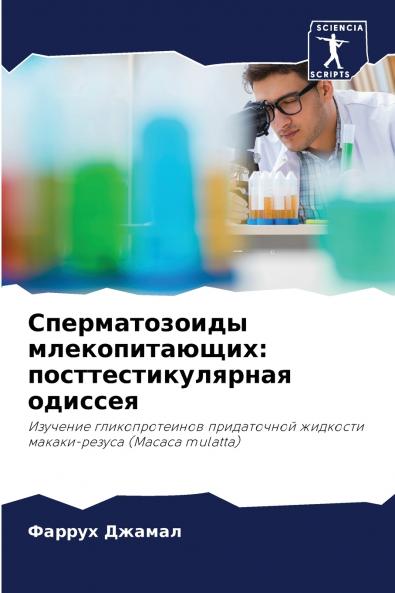 ????????????? ?????????????