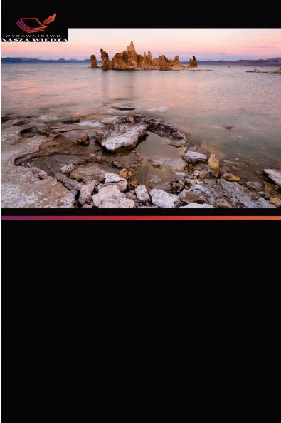 Poszukiwanie interpretacji w Ta?cu wspó?czesnym Pneuma